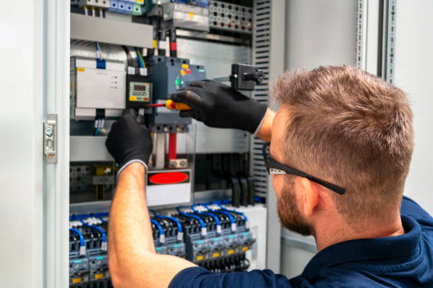 Best Electrician for Home Renovation  in Payson, IL